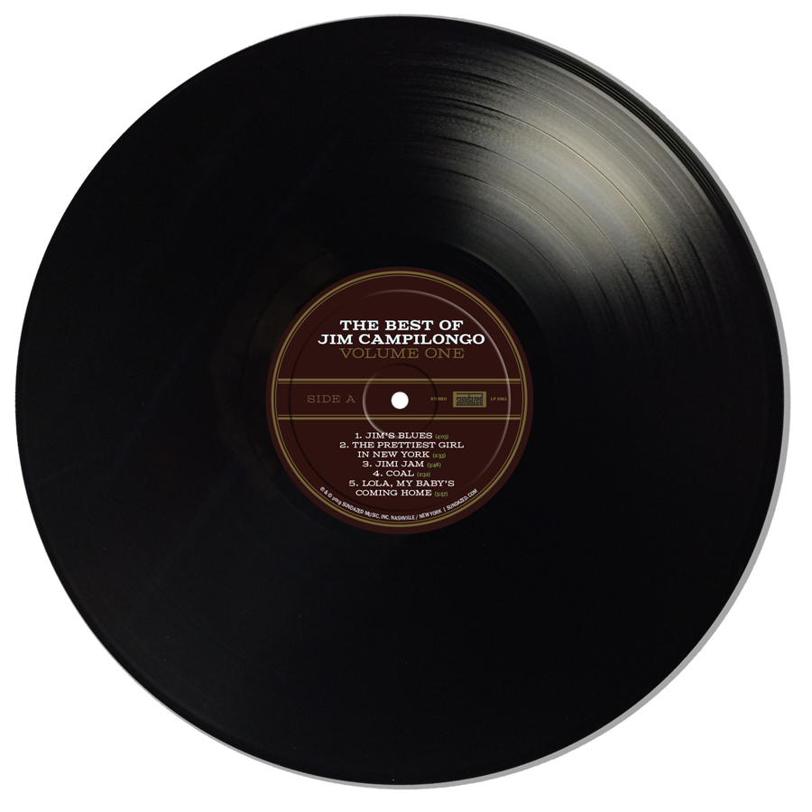 the Best Of Jim Campilongo Volume One - LP