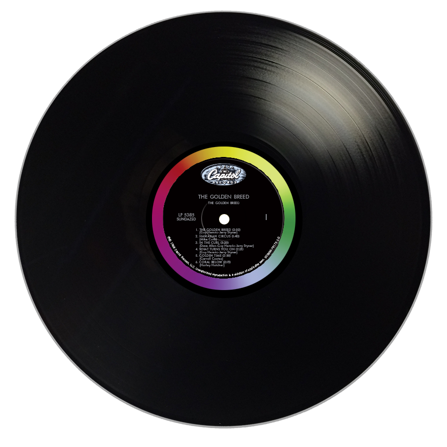 Vinyl Color